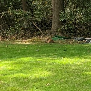 Meet your Posher, Craig